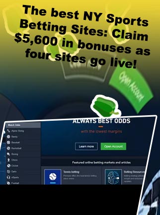 Best online sports site