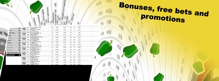 Bet on line