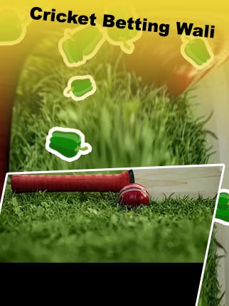 Betting websites for cricket