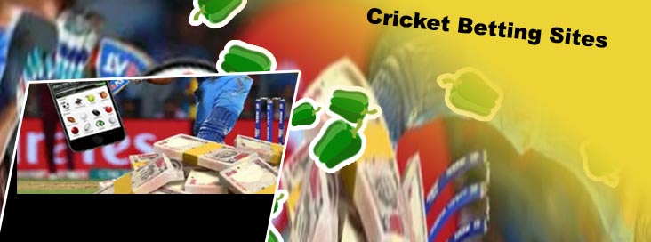 Cricket betting website