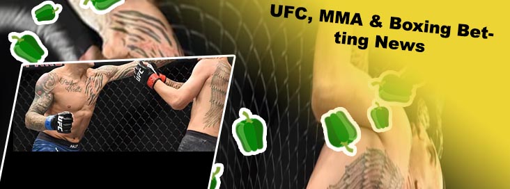 Mma odds