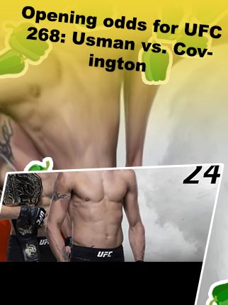 Ufc this weekend odds